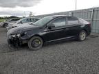 2019 HYUNDAI SONATA SE - 5NPE24AF5KH765057