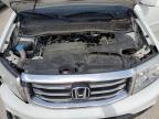 HONDA PILOT EXLN photo