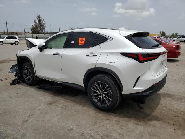2024 LEXUS NX 250 BAS JTJADCAZXR2008340
