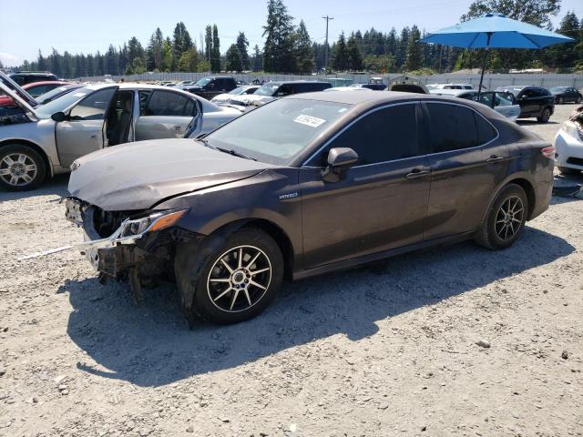 VIN 4T1B31HK4KU005950 2019 Toyota Camry, LE no.1