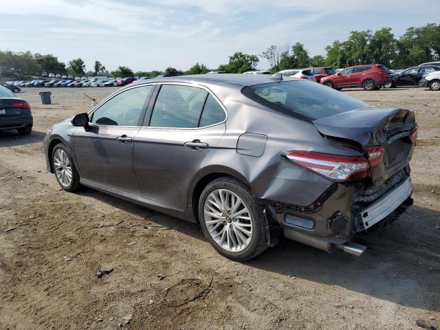 4T1B21HK9KU520557 2019 TOYOTA CAMRY - Image 2