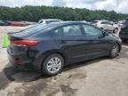 HYUNDAI ELANTRA SE photo