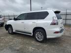 LEXUS GX 460 photo