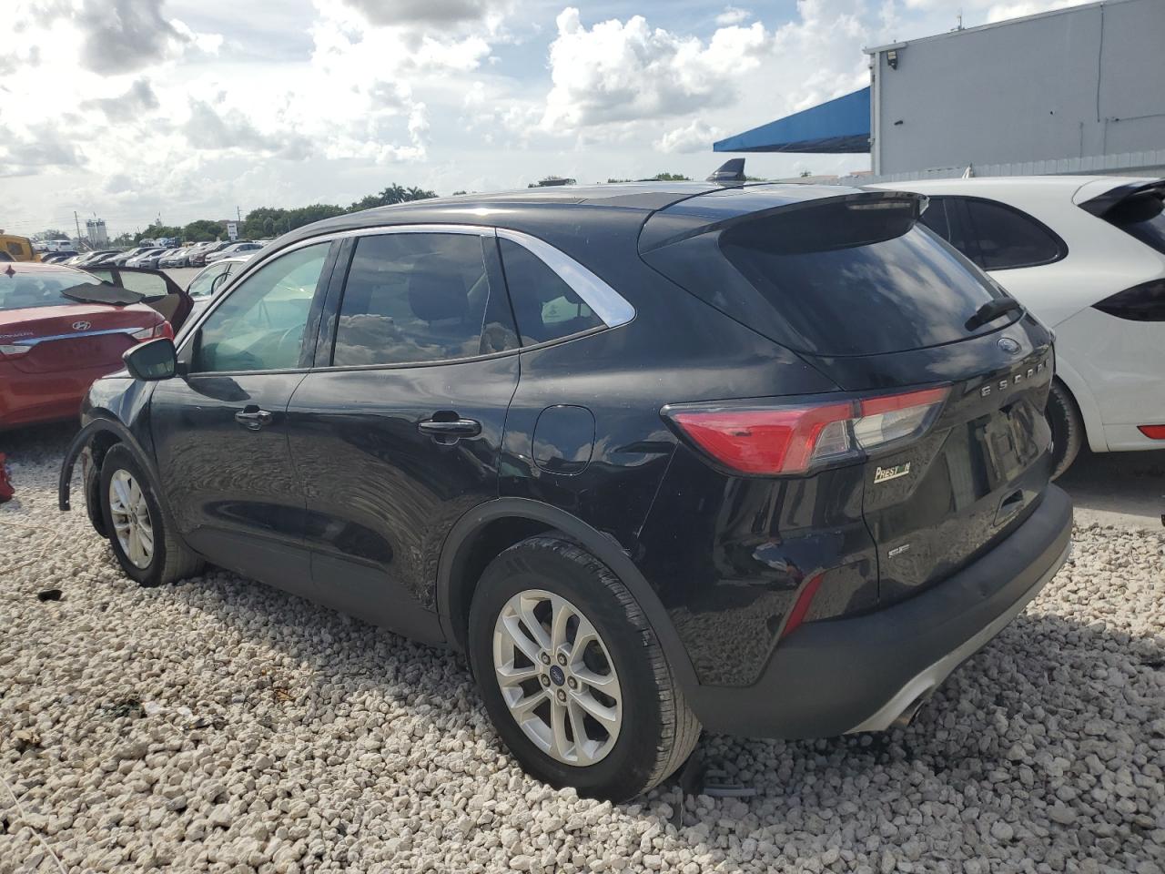 Lot #3024371537 2020 FORD ESCAPE SE