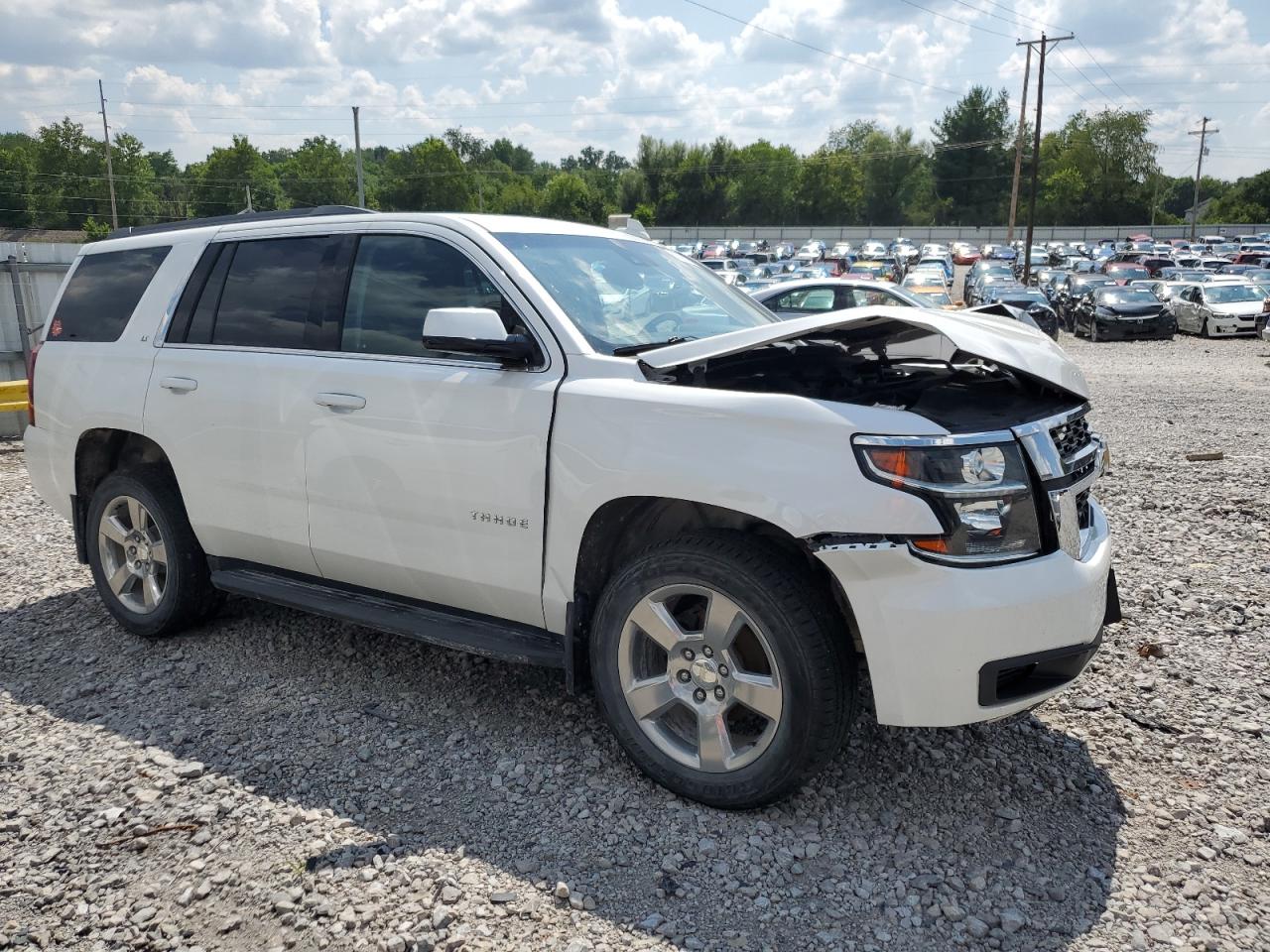 Lot #2952881783 2019 CHEVROLET TAHOE K150