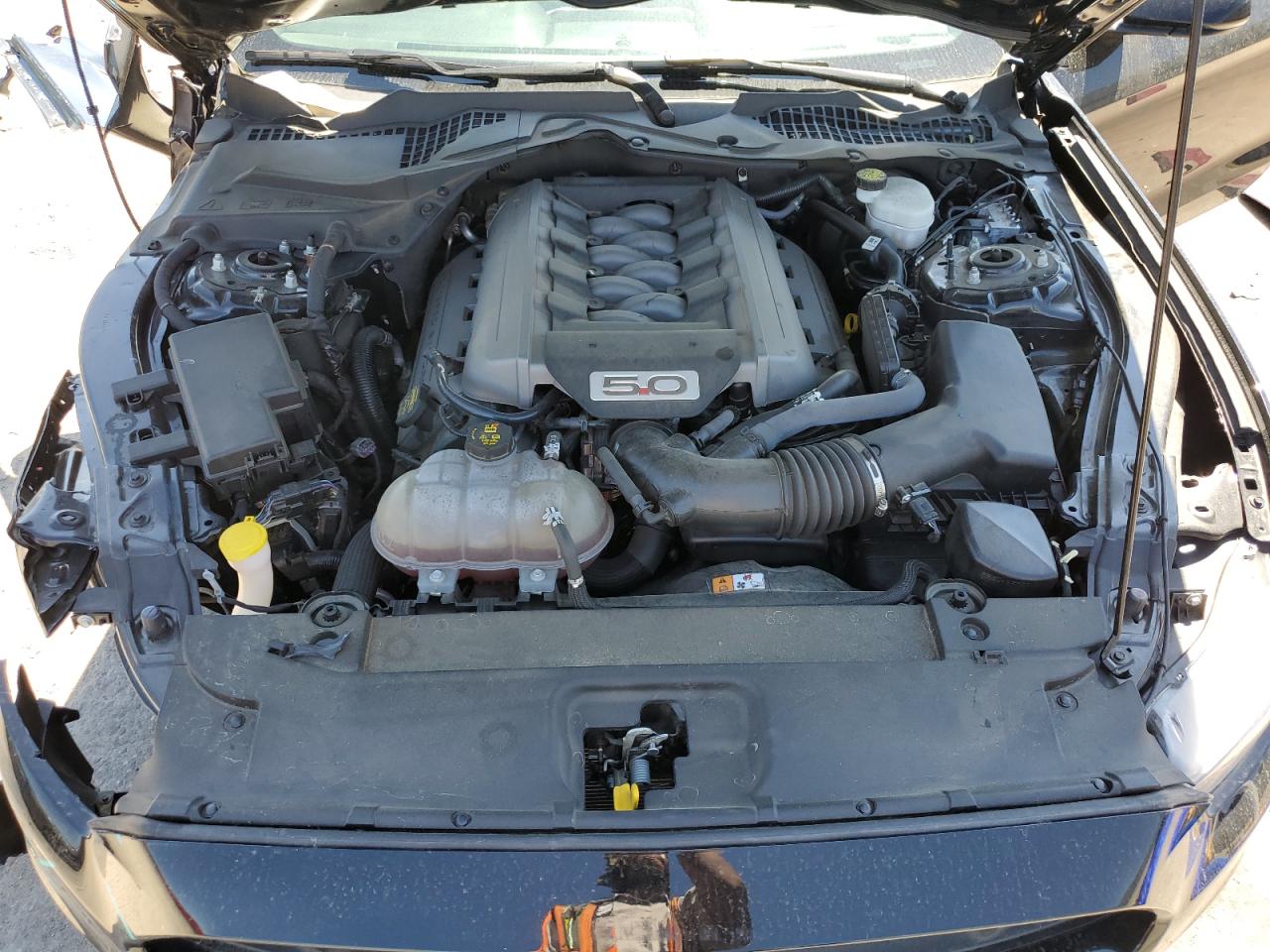 1FA6P8CF3F5355511 2015 Ford Mustang Gt