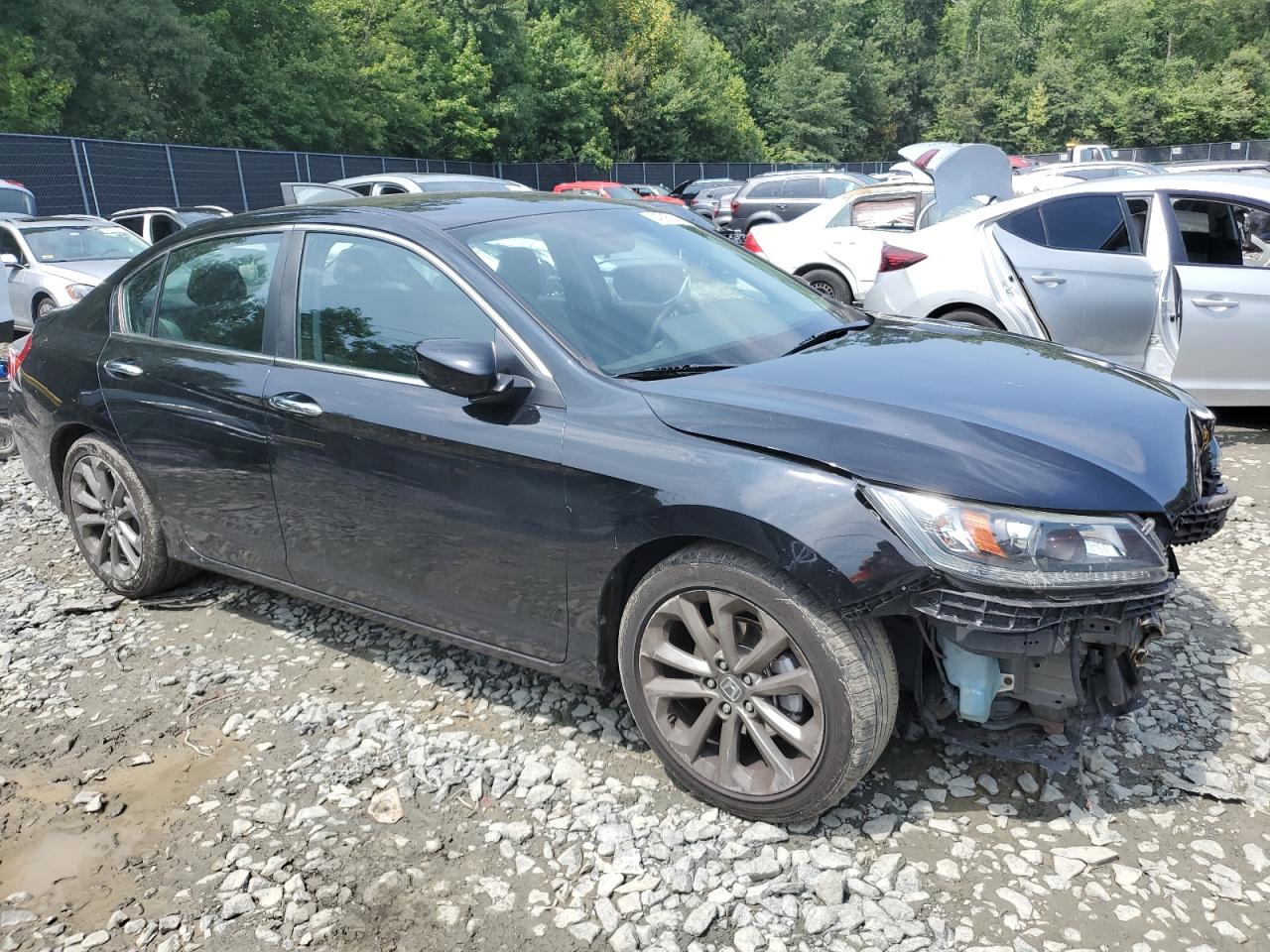 Lot #2972318521 2014 HONDA ACCORD SPO