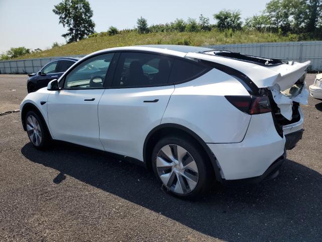2024 TESLA MODEL Y - 7SAYGDEE3RA283390