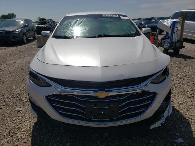 2019 Chevrolet Malibu Lt VIN: 1G1ZD5ST4KF149035 Lot: 61334194