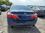 HONDA ACCORD SPO photo