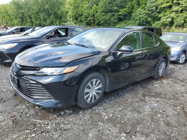 VIN 4T1B31HK7KU509568 2019 Toyota Camry, LE no.1