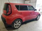 KIA SOUL + photo