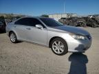 LEXUS ES 350 photo