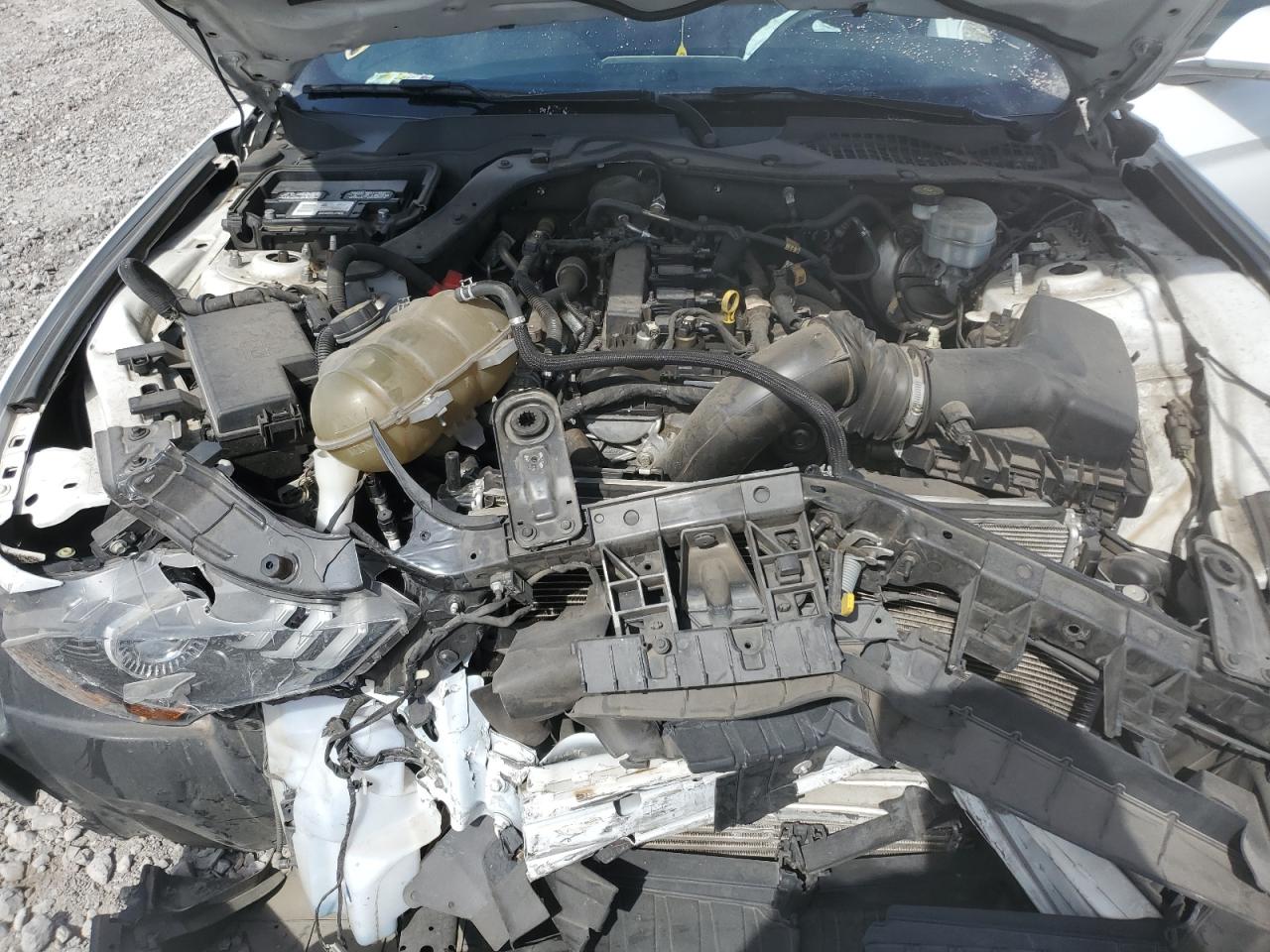 1FA6P8TH8K5167353 2019 Ford Mustang