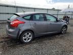 Lot #3025114183 2013 FORD FOCUS SE