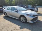 TOYOTA CAMRY L photo