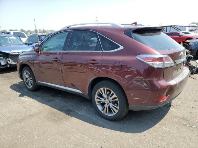 VIN JTJBK1BA2E2461191 2014 Lexus RX, 350 Base no.2