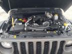 JEEP GLADIATOR photo