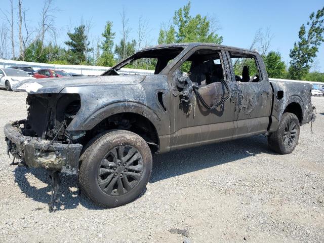 2024 FORD F150 LARIA - 1FTFW5L57RFA20138
