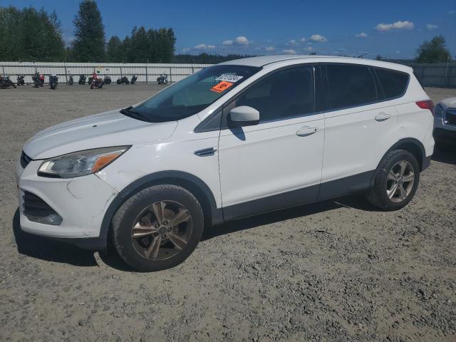 2013 Ford Escape Se VIN: 1FMCU0GX2DUB97445 Lot: 62131034