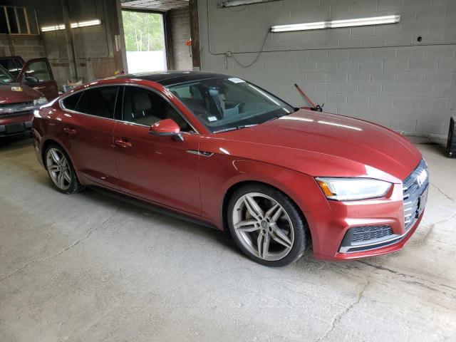 2019 Audi A5 Premium Plus S-Line VIN: WAUENCF59KA072000 Lot: 61995364