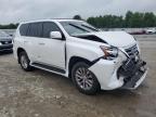 LEXUS GX 460 photo