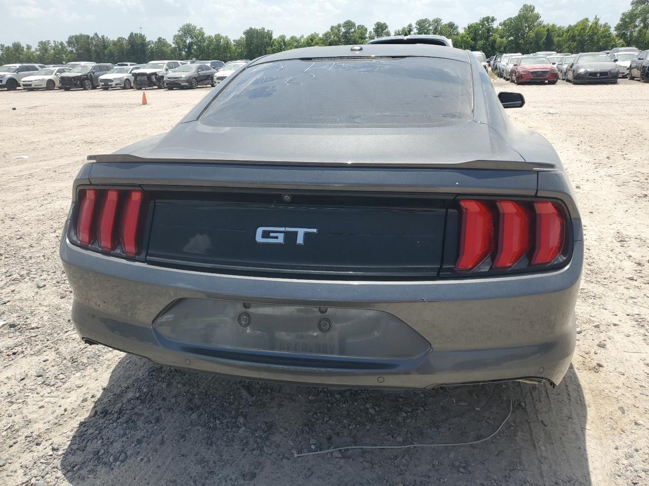 2019 Ford Mustang Gt vin: 1FA6P8CF7K5130244