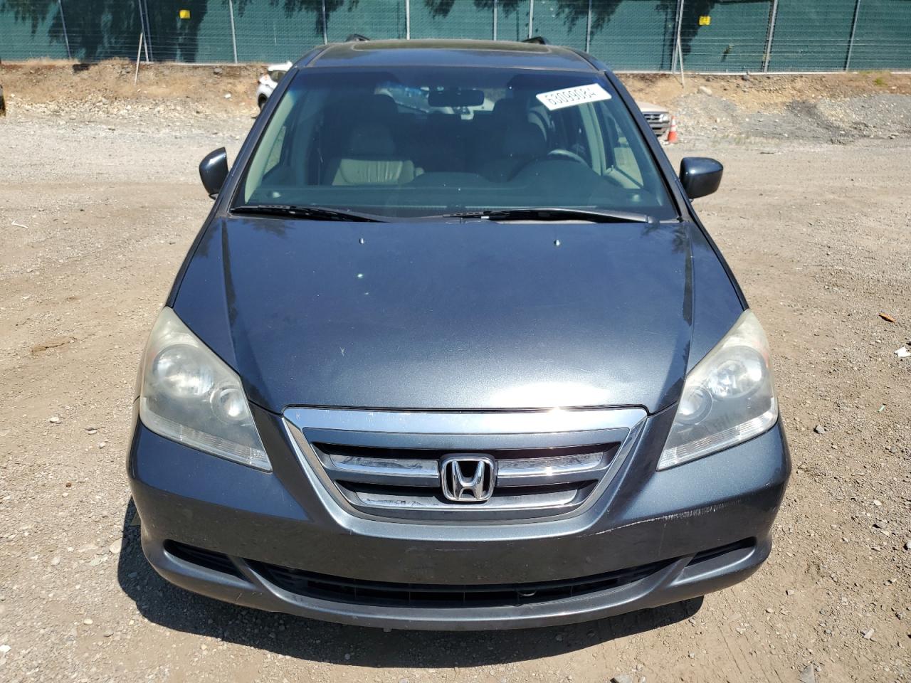 5FNRL38755B069812 2005 Honda Odyssey Exl