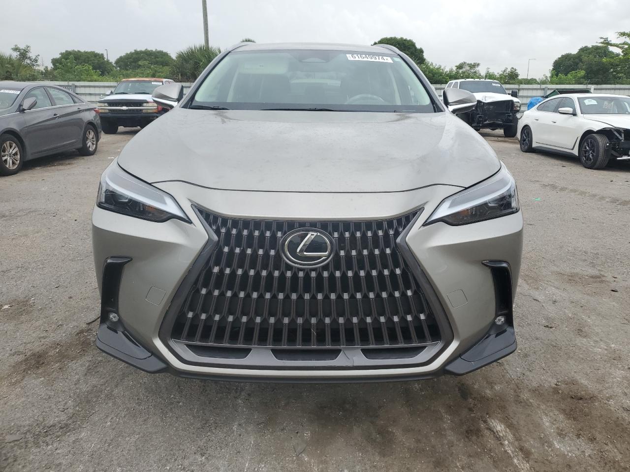 Lot #2991687055 2024 LEXUS NX 250 BAS