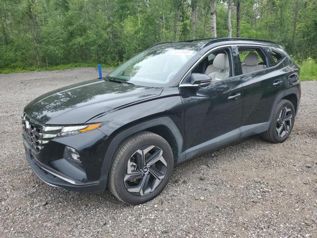 2023 HYUNDAI TUCSON LUX - KM8JCCA10PU117404