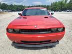 DODGE CHALLENGER photo