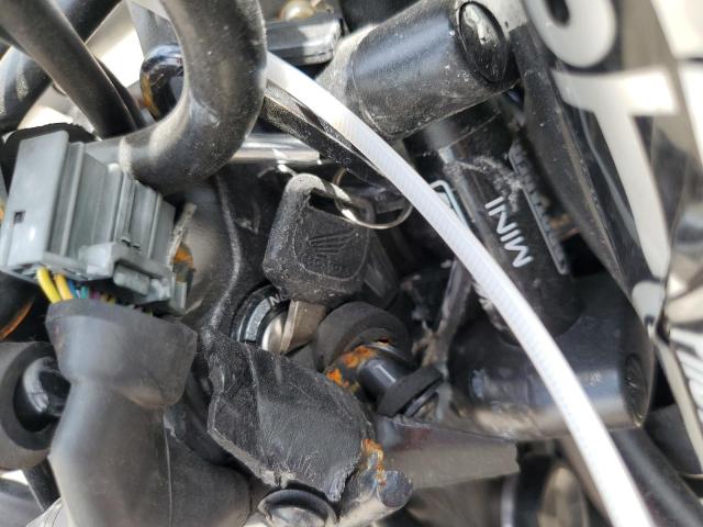 2023 HONDA GROM 125 MLHJC9215P5112003