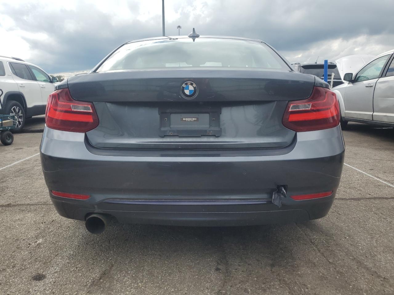 2015 BMW 228 Xi Sulev vin: WBA1G9C51FVX96424