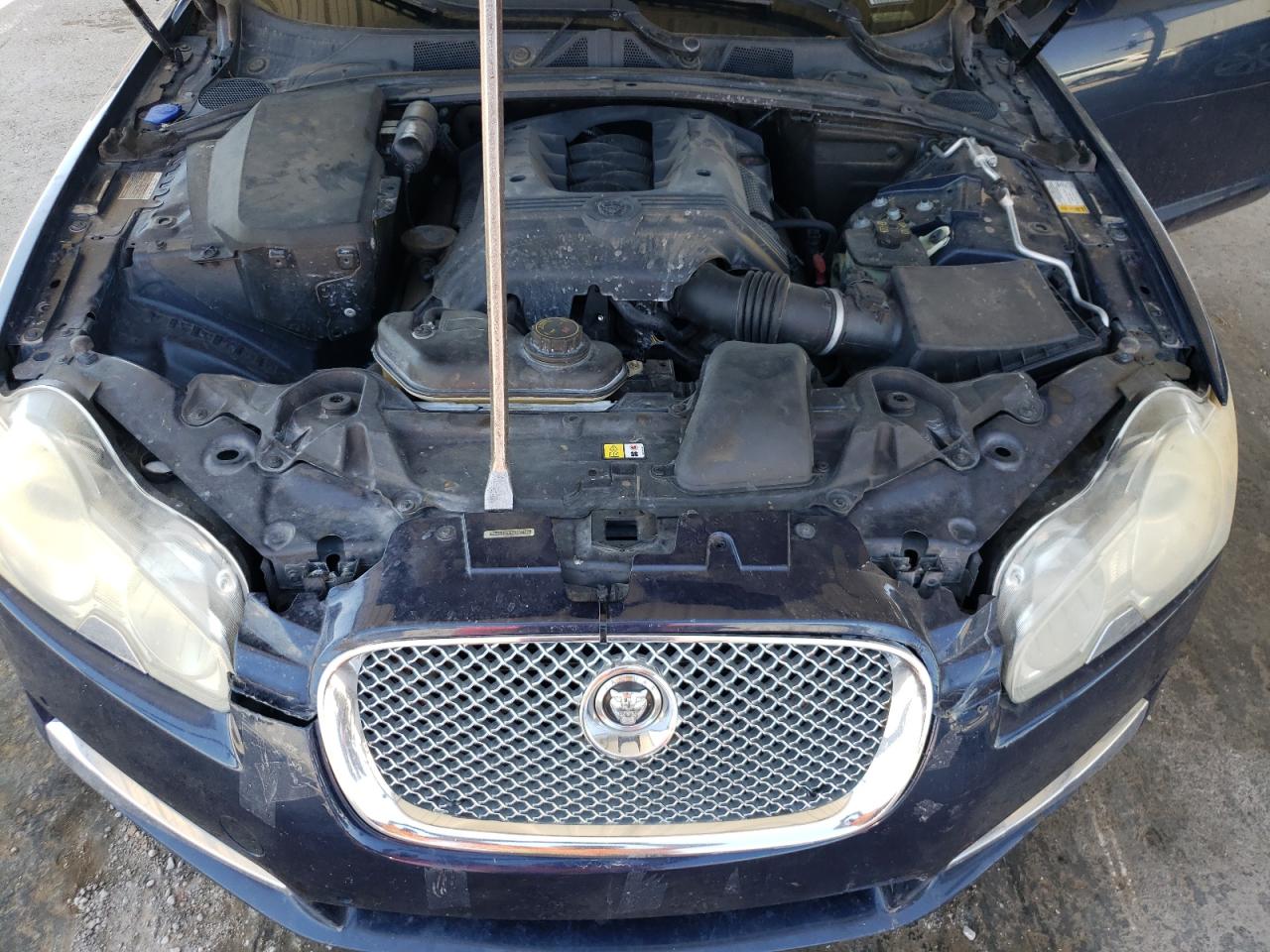 SAJWA05B19HR07146 2009 Jaguar Xf Luxury