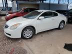 Lot #3023658998 2009 NISSAN ALTIMA 2.5