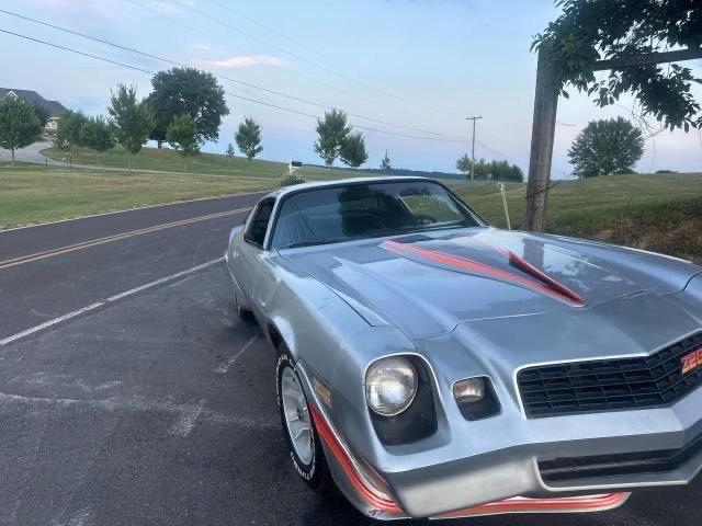 1981 Chevrolet Camaro VIN: 1G1AP87LXBL144468 Lot: 62338504