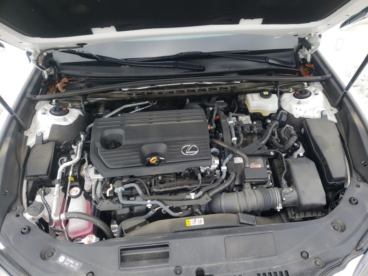 58AFA1C13NU013279 2022 Lexus Es 300H Base