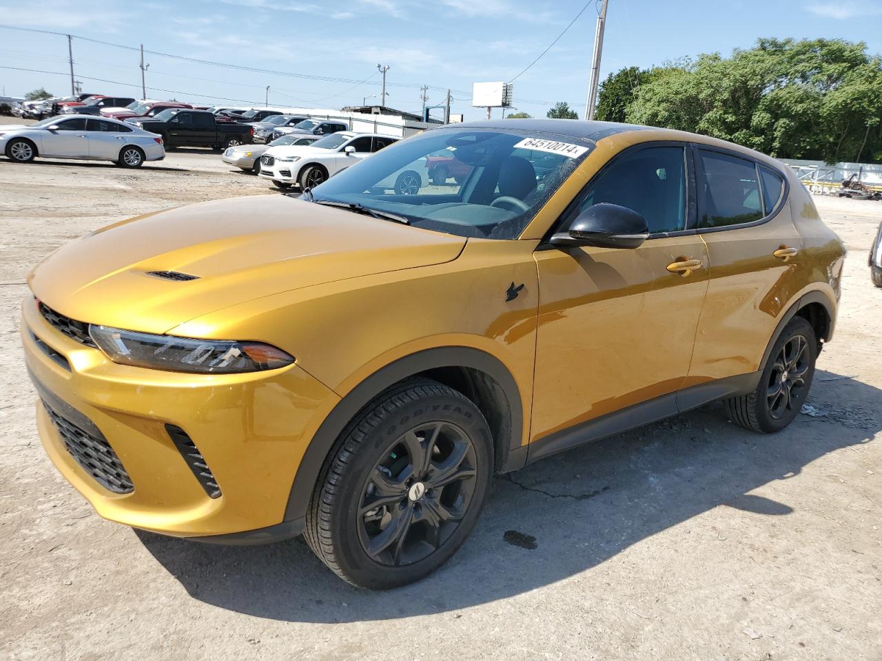 DODGE HORNET GT PLUS