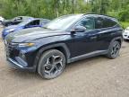 2023 HYUNDAI TUCSON LUX - KM8JCCA15PU107693