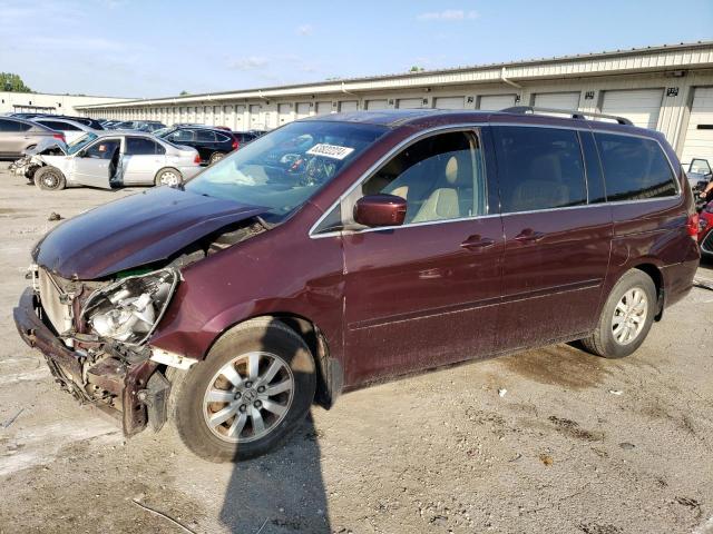 2010 HONDA ODYSSEY EXL 2010