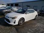 TOYOTA SCION TC photo