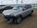 2019 JEEP CHEROKEE L - 1C4PJLCB5KD290239