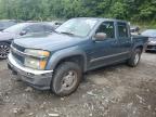 1GCDT136968133526 2006 Chevrolet Colorado