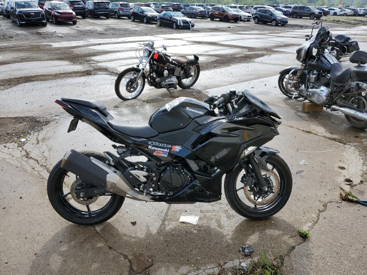 Kawasaki Ninja 500 2024 EX500GR