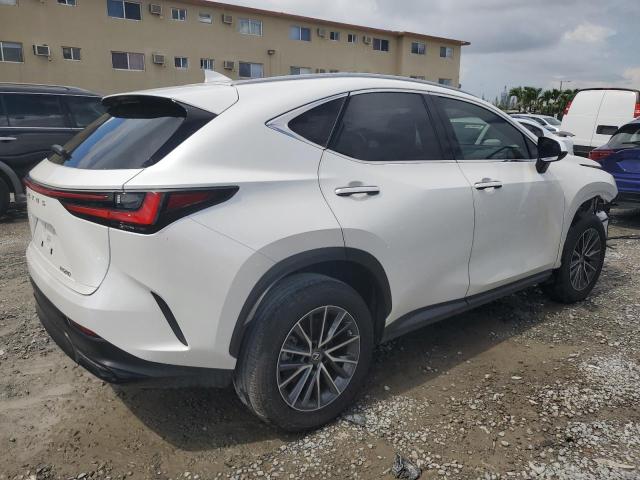 2023 LEXUS NX 250 JTJADCAZ3P2006300
