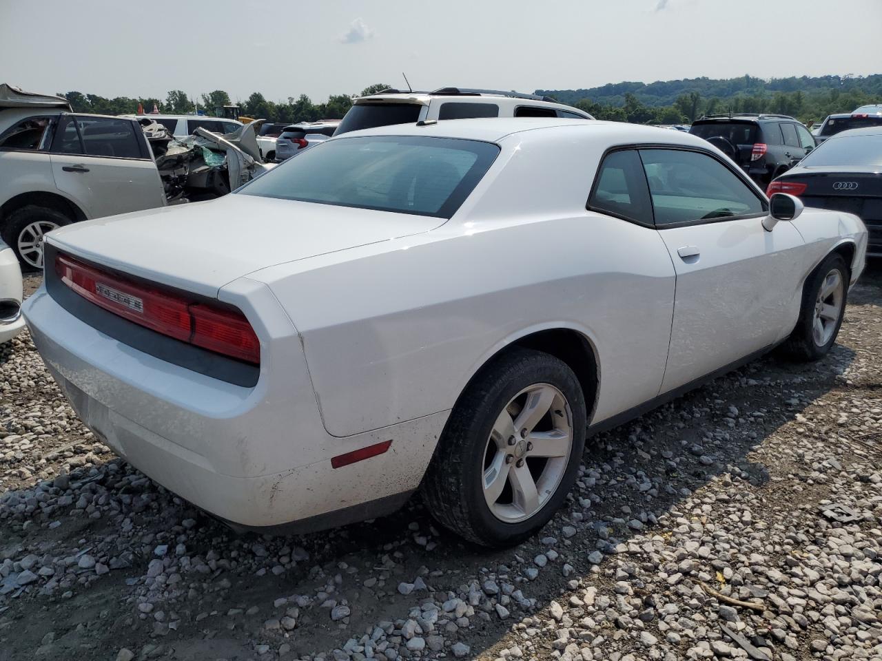 Lot #2789469471 2014 DODGE CHALLENGER