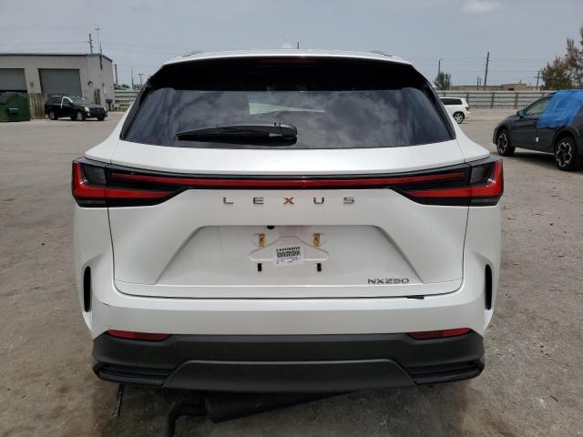 2024 LEXUS NX 250 BAS JTJADCAZXR2008340