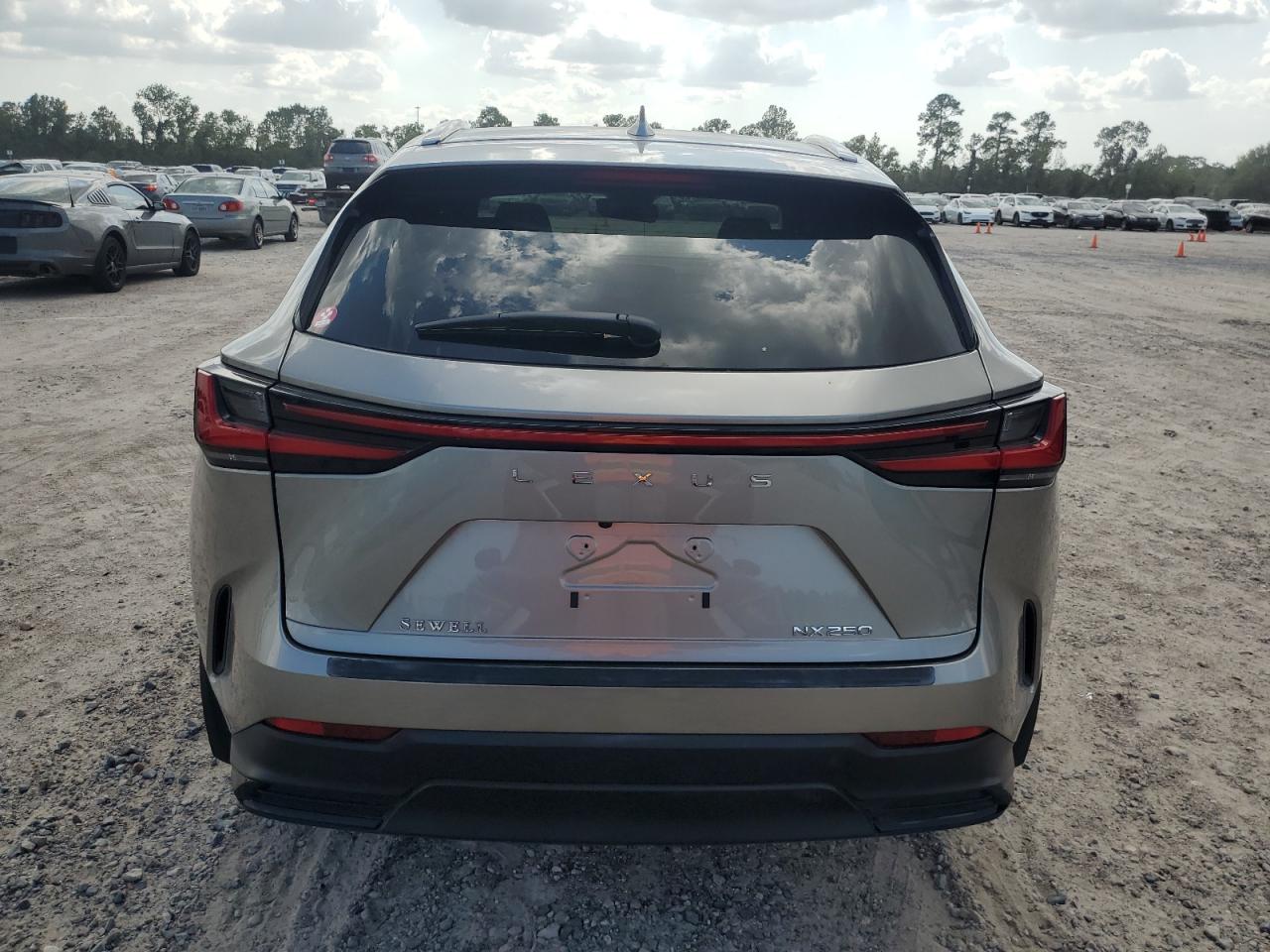 2023 Lexus Nx 250 vin: 2T2ADCAZ2PC004666