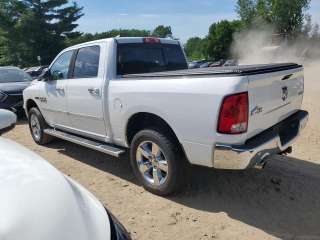 2015 Ram 1500 Slt VIN: 1C6RR7LM8FS706917 Lot: 62018794