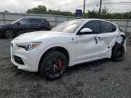 ALFA ROMEO STELVIO QU photo